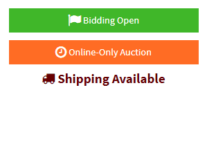 Timed Online Auction